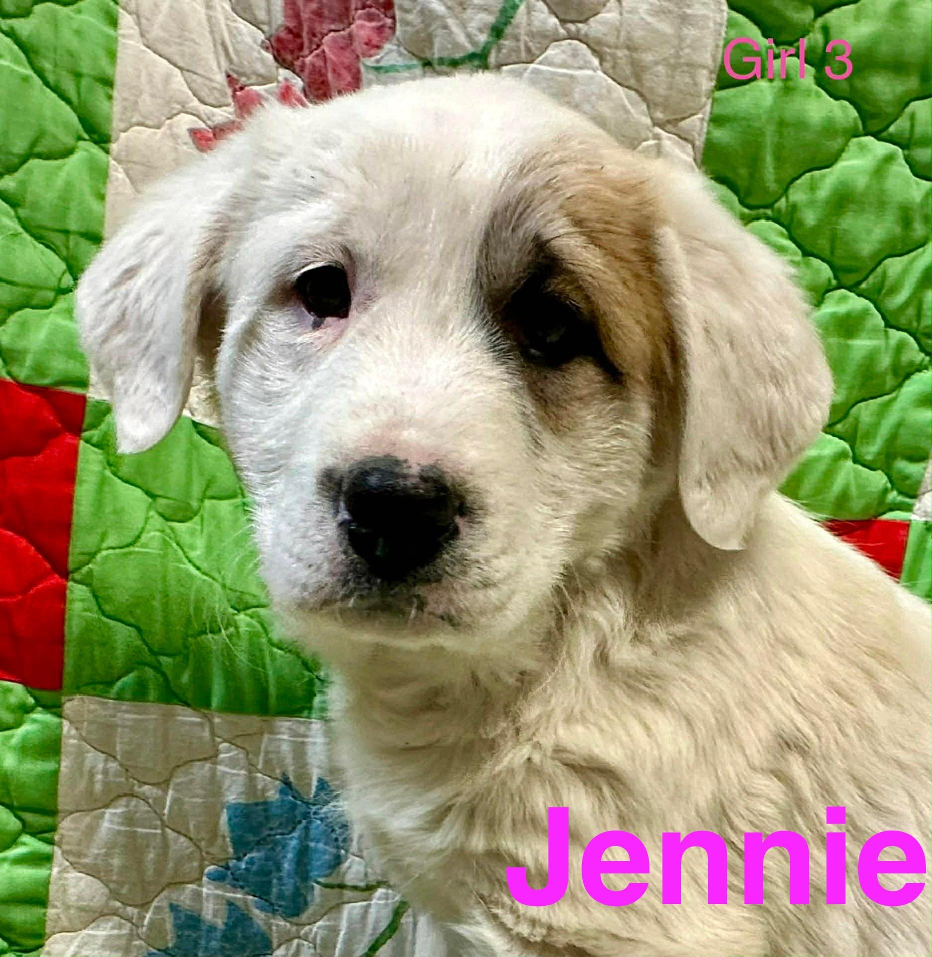 Jennie Jackpot — thumbnail 4