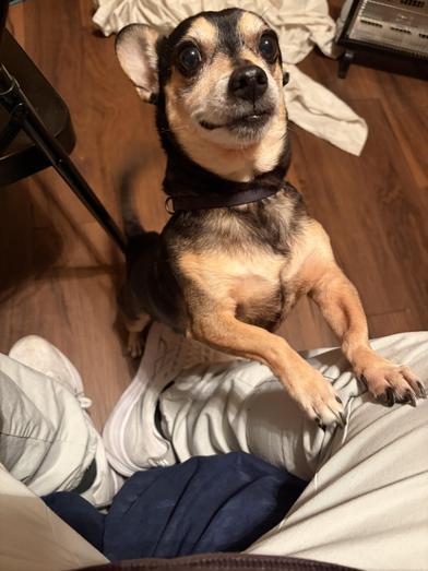 Negan — thumbnail 3