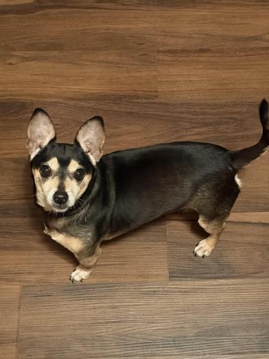 Negan — thumbnail 6