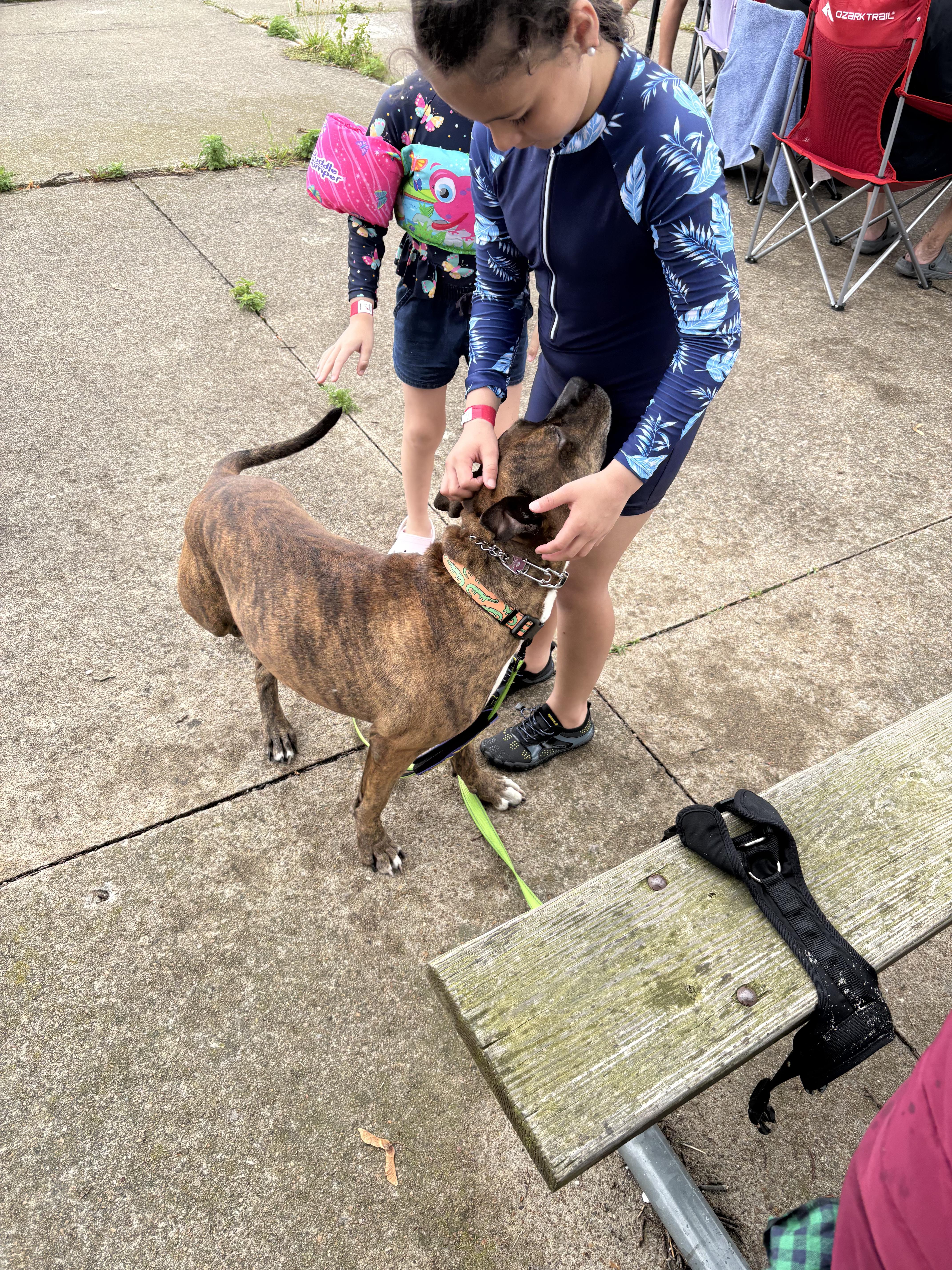 Lenny, a ADOPTABLE mixed breed in Buffalo, NY image 6/6