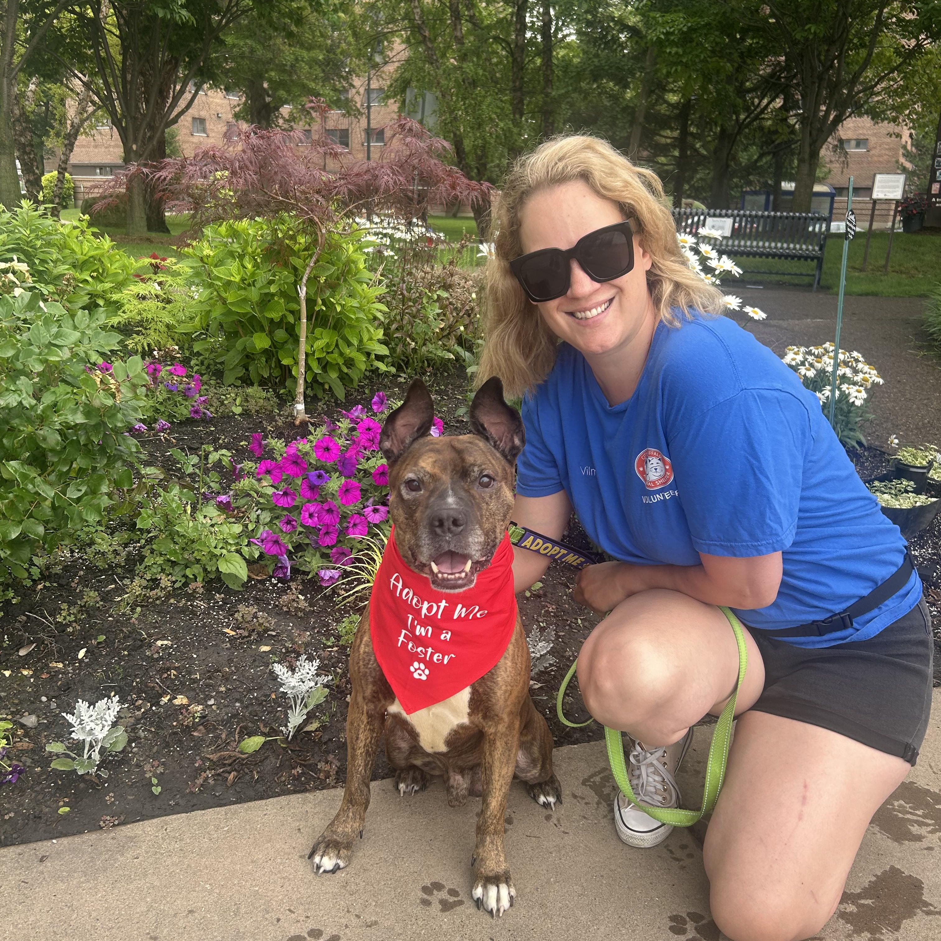 Lenny, a ADOPTABLE mixed breed in Buffalo, NY image 3/6