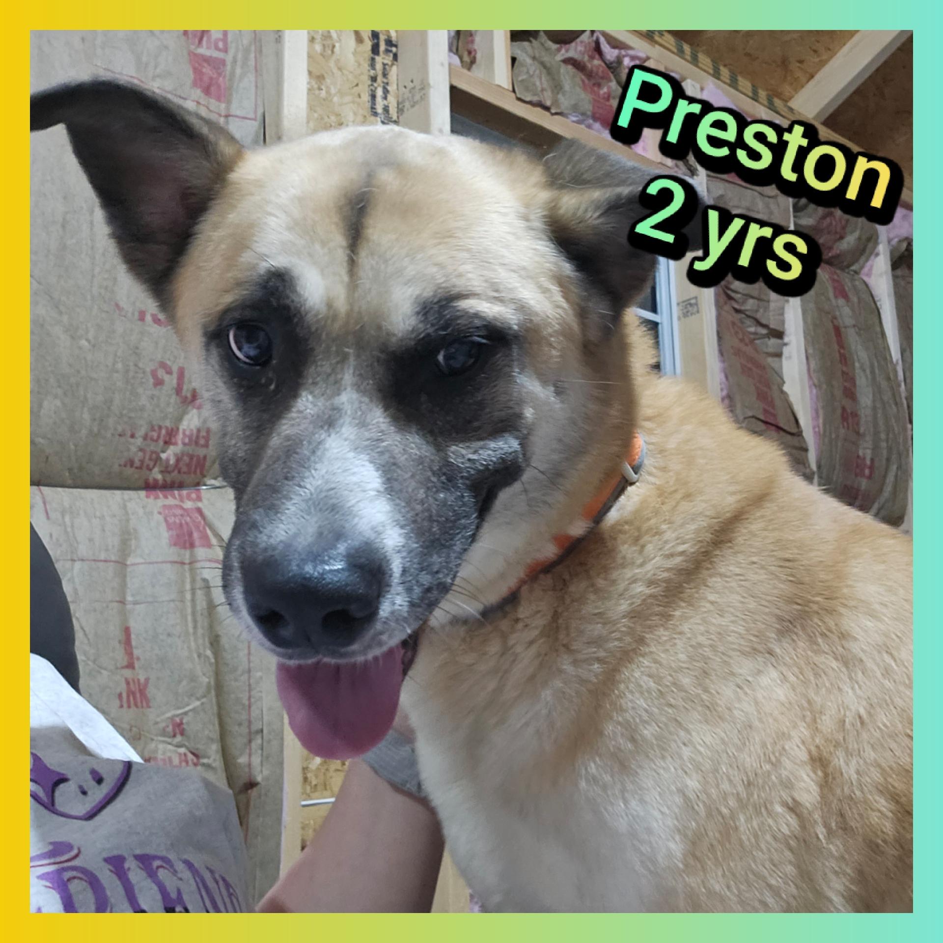 Preston thumbnail 3