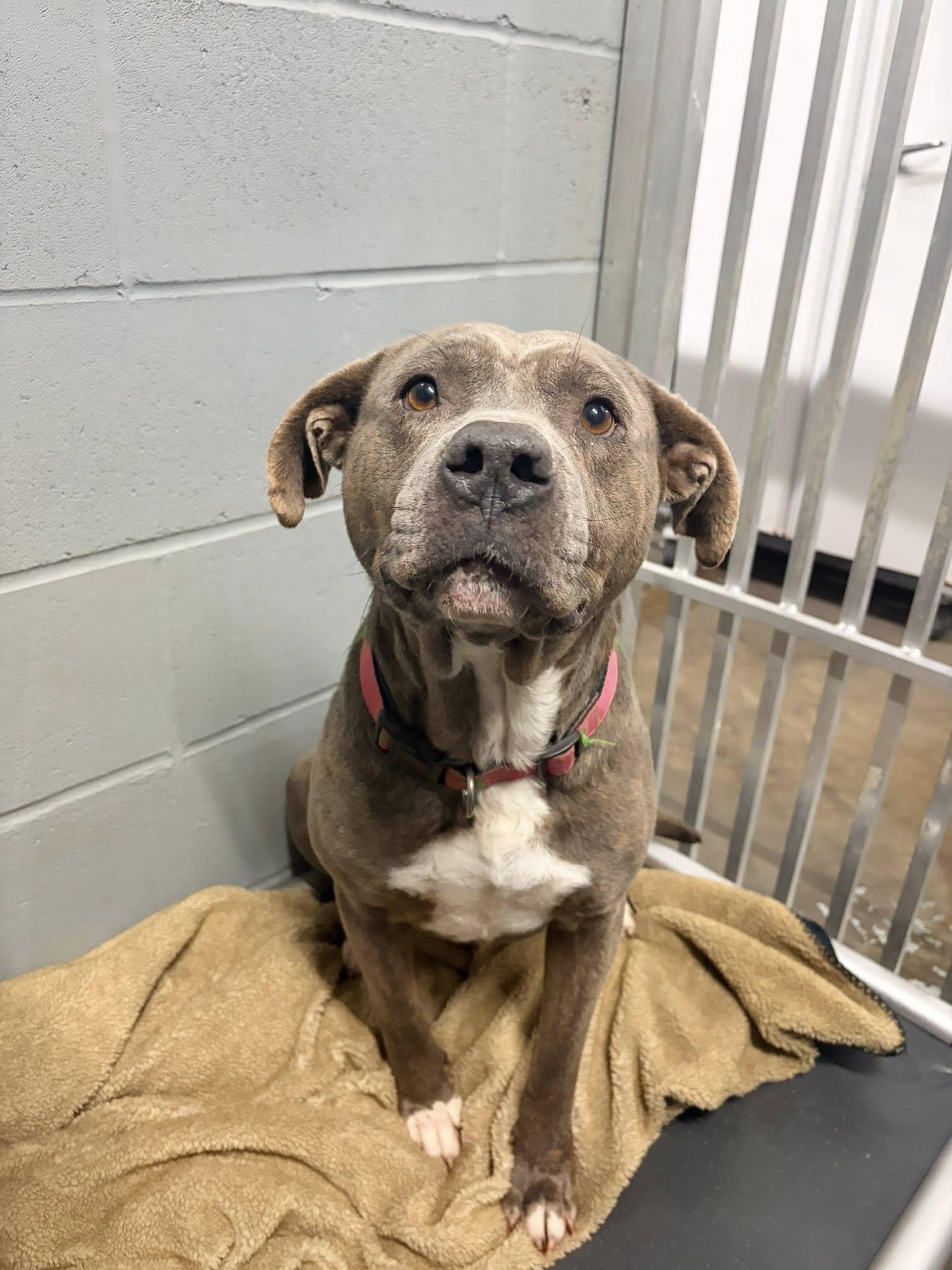 Logan — thumbnail 3