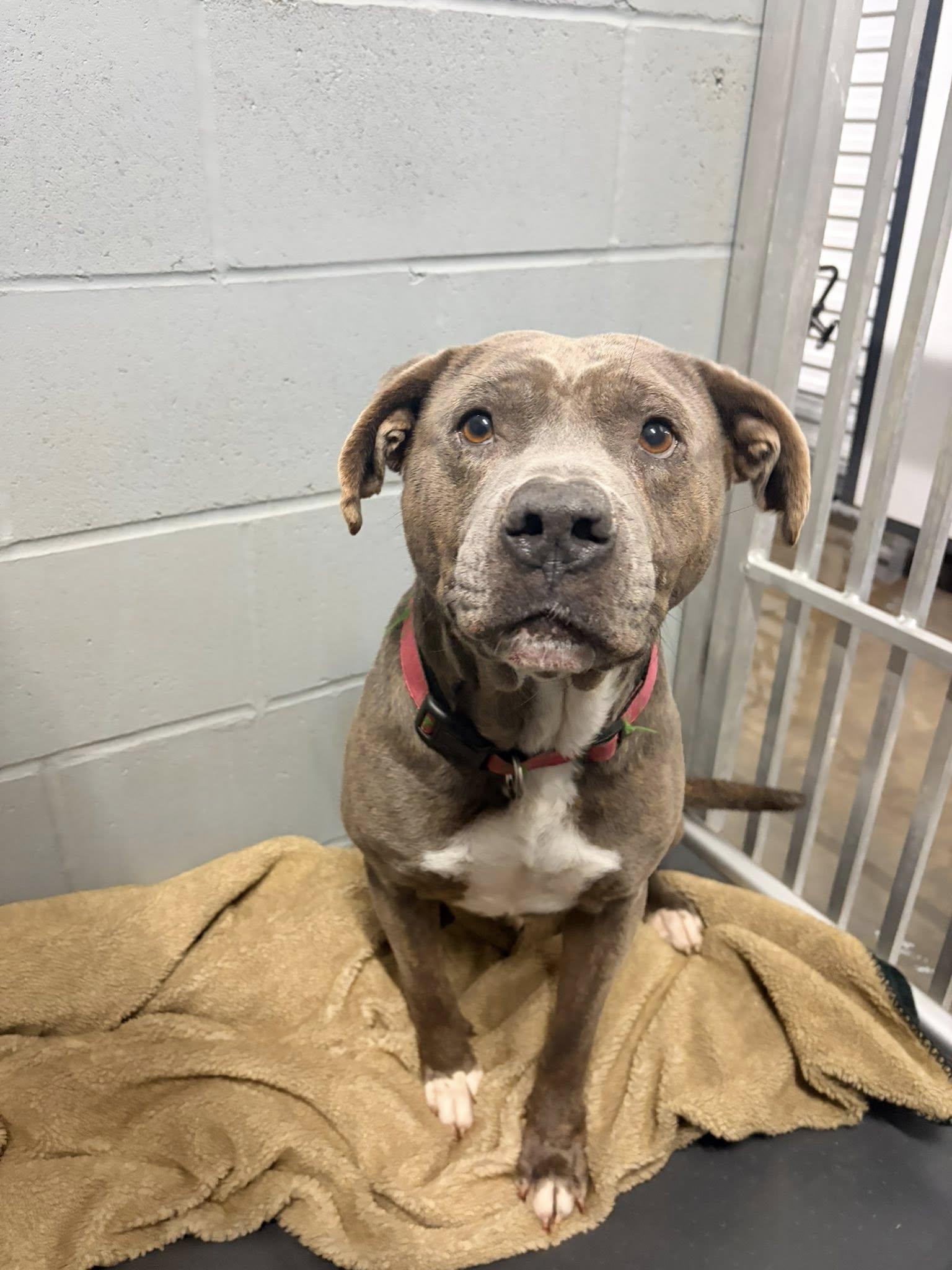 Logan — thumbnail 5