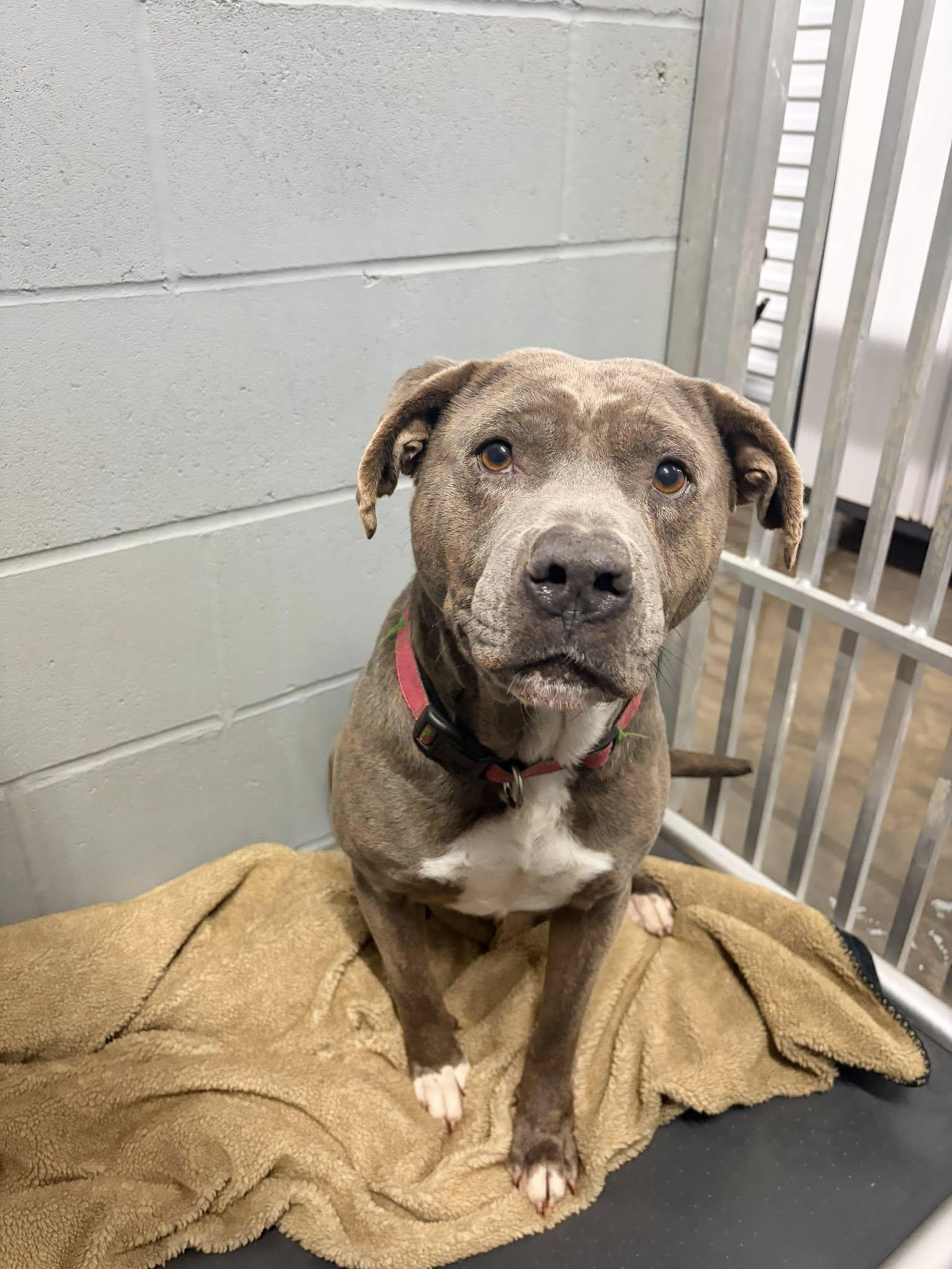 Logan — thumbnail 6