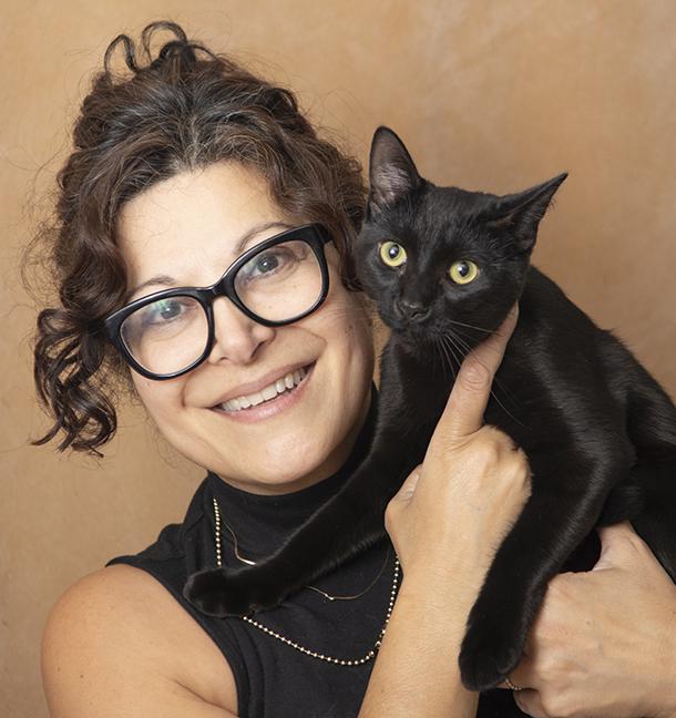 Louie, an adopted Domestic Short Hair in Chicago, IL image 4/6