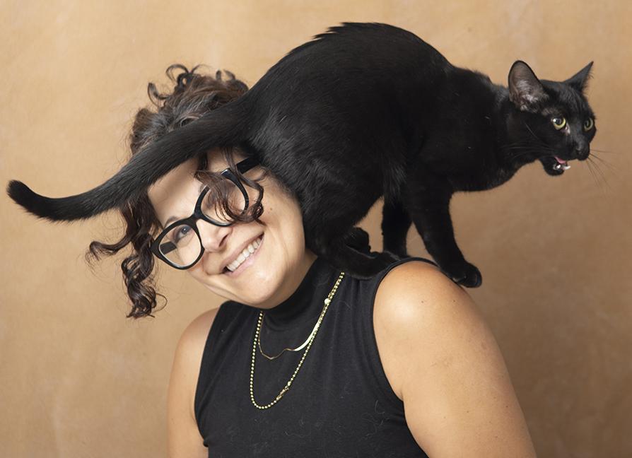 Louie, an adopted Domestic Short Hair in Chicago, IL image 3/6