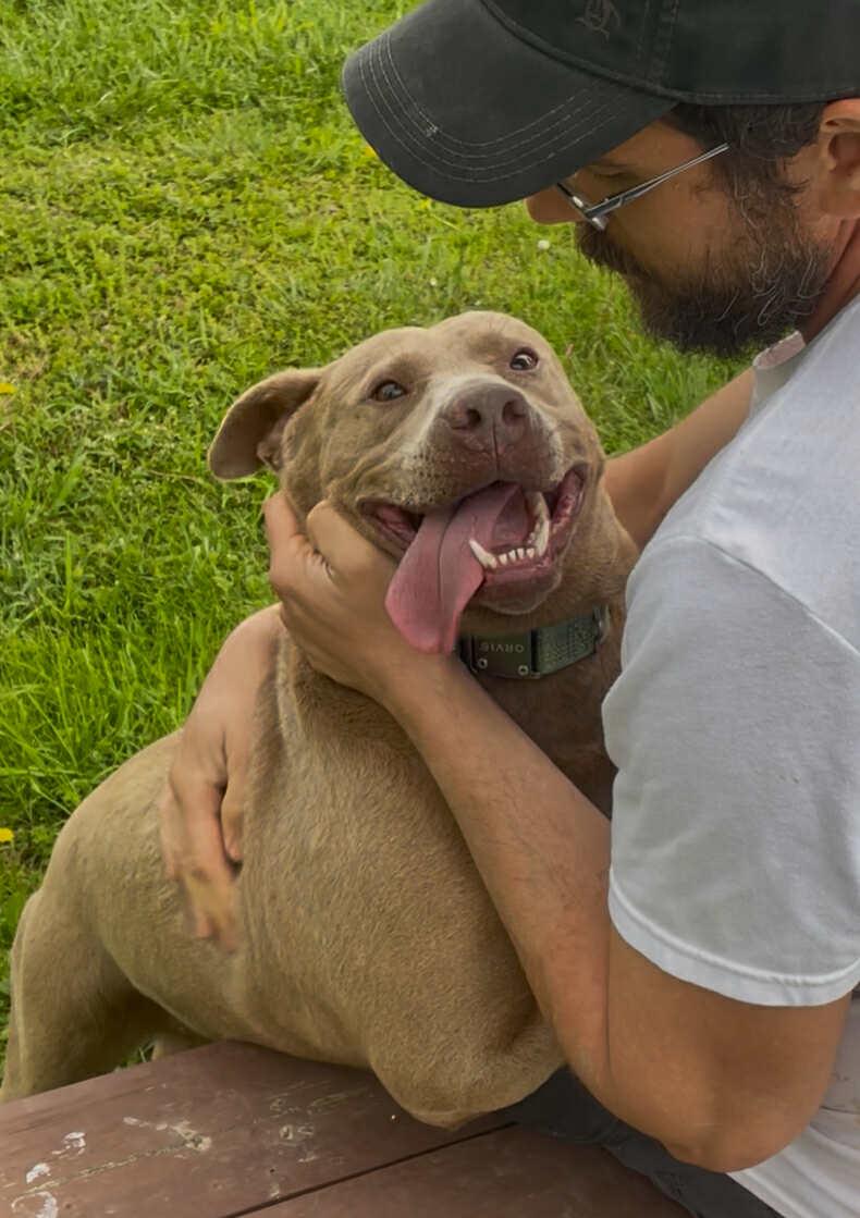 Mabel, a Adoptable Mixed Breed in Plain City, OH image 2/6