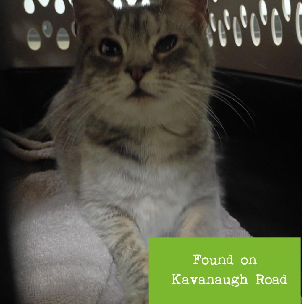 Lauryn Hill — thumbnail 2