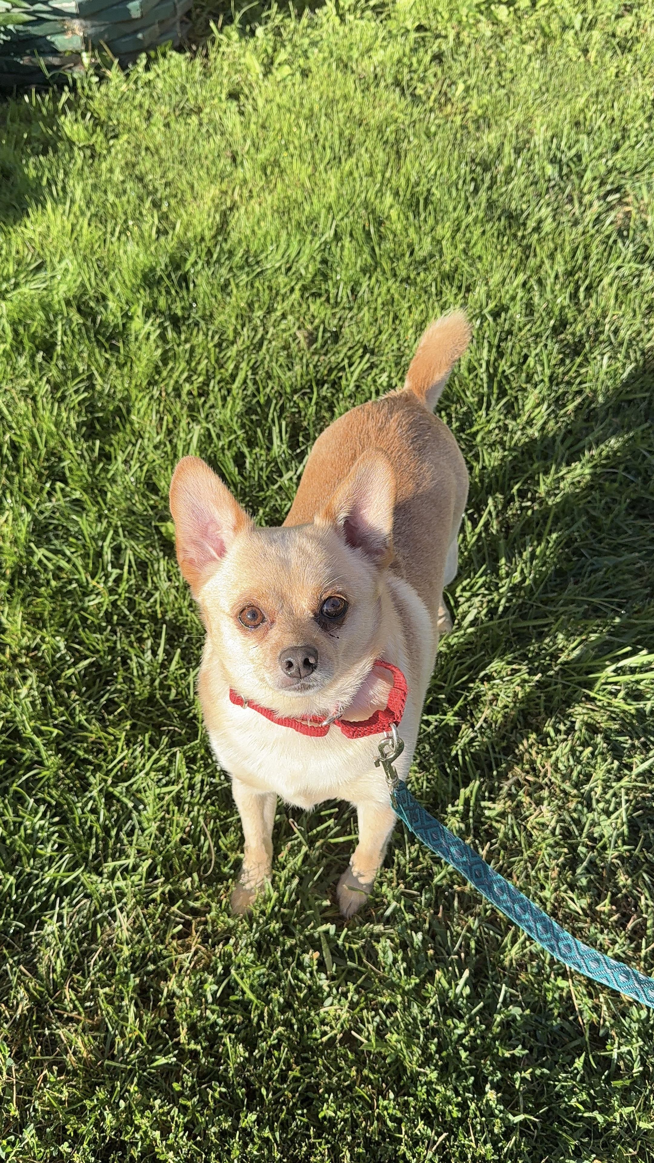 Charlie
