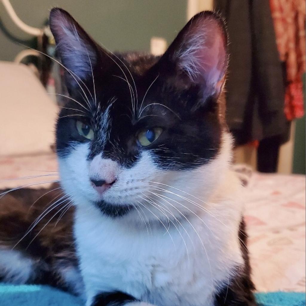 Prince Charming — thumbnail 5