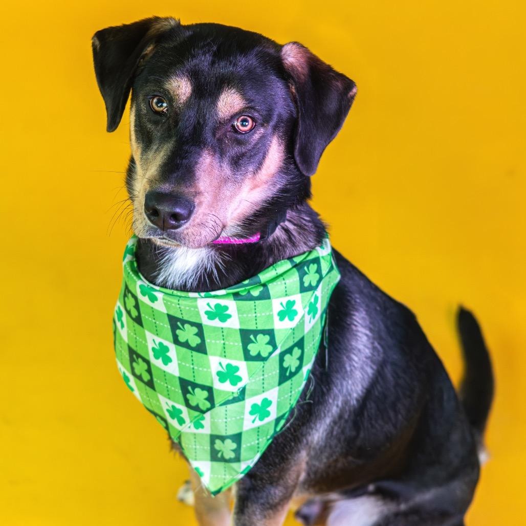 Kissy Face — thumbnail 2