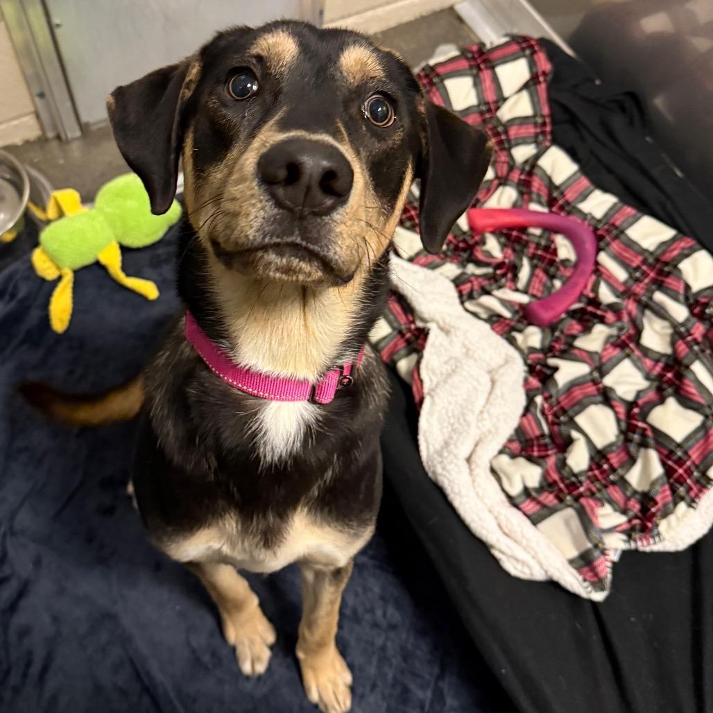 Kissy Face — thumbnail 3