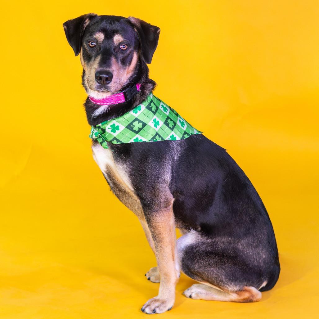 Kissy Face — thumbnail 4