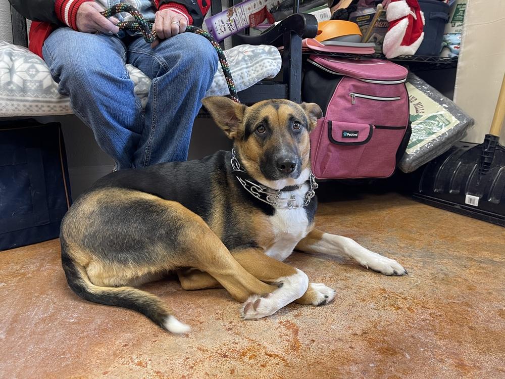 Posey — thumbnail 2