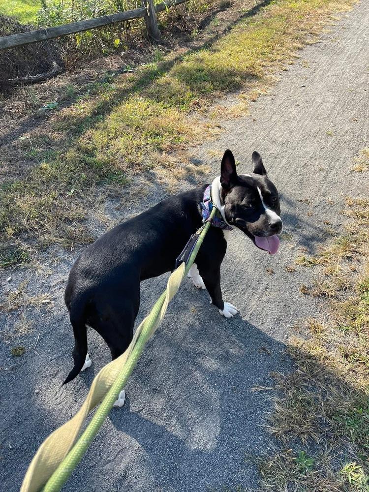 Kelly — thumbnail 3