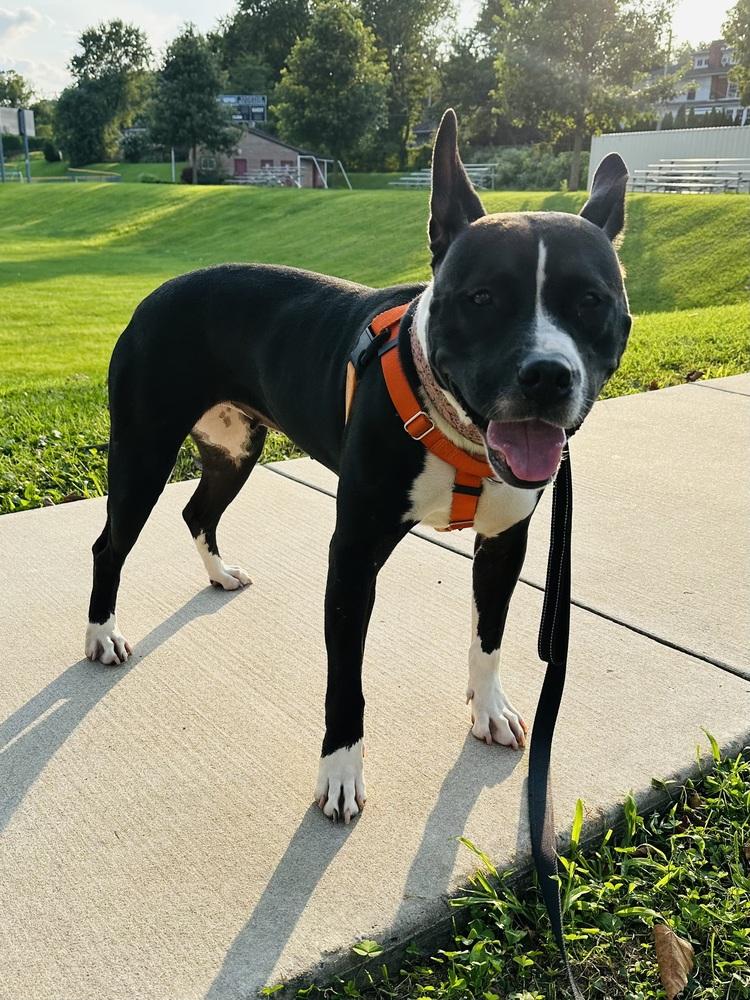 Kelly — thumbnail 4