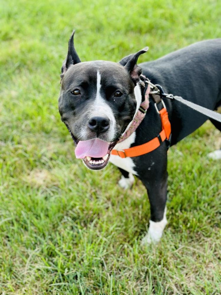 Kelly — thumbnail 5