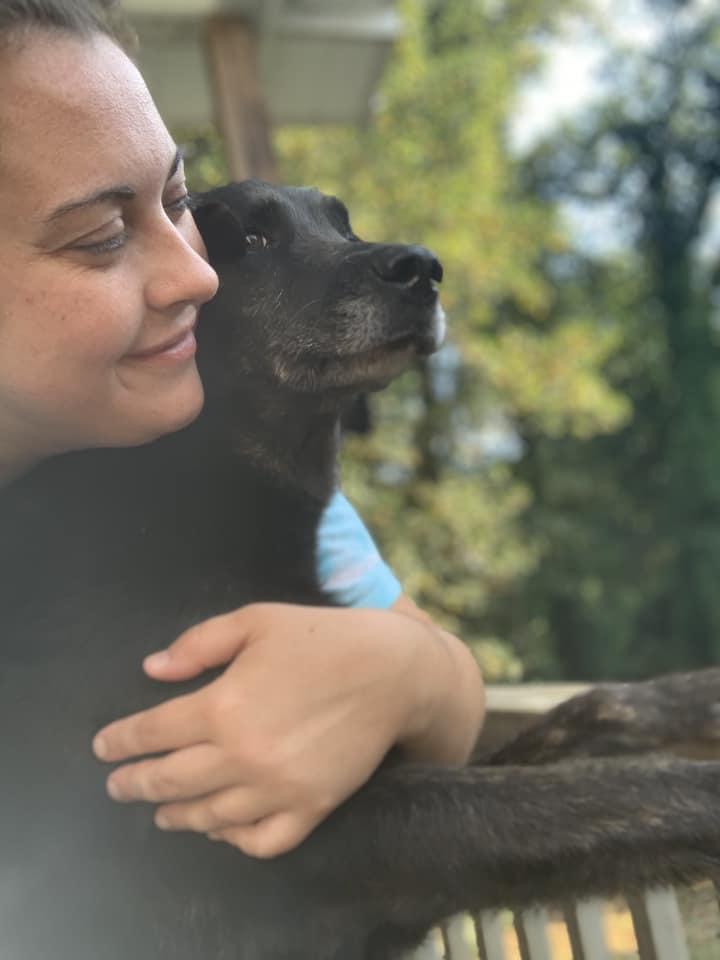 Enlarge Thor, a Adoptable mixed breed in Oak Ridge, TN image 5/6