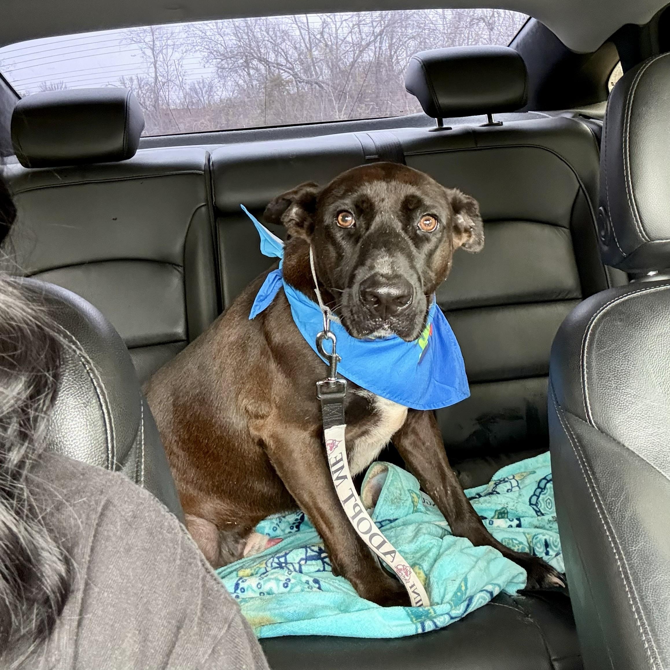 Jet Mouse — thumbnail 3