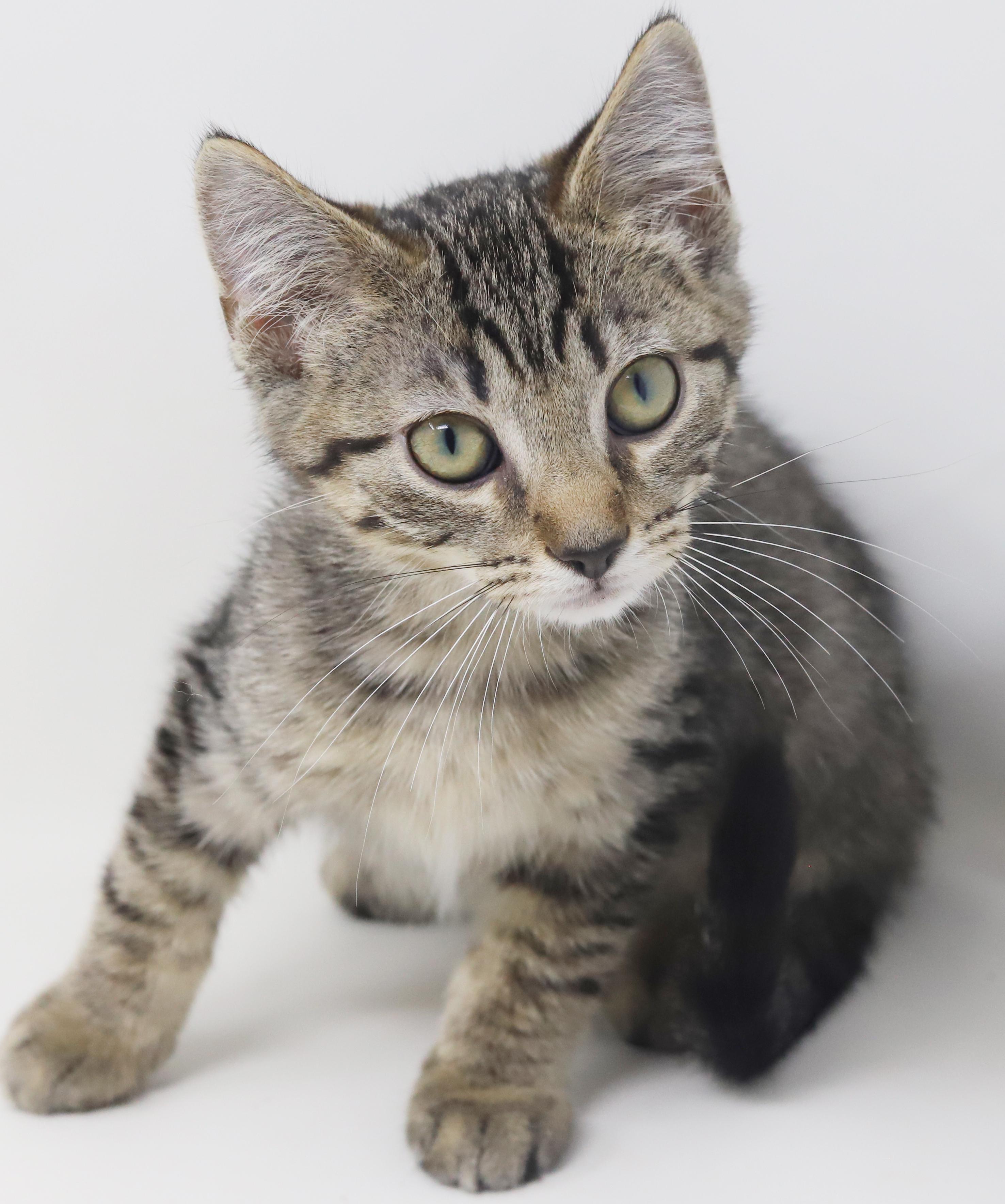 August is a polka dotted bellied snuggle bug!  VIDEO!!  OLD ENOUGH TO GO SOLO