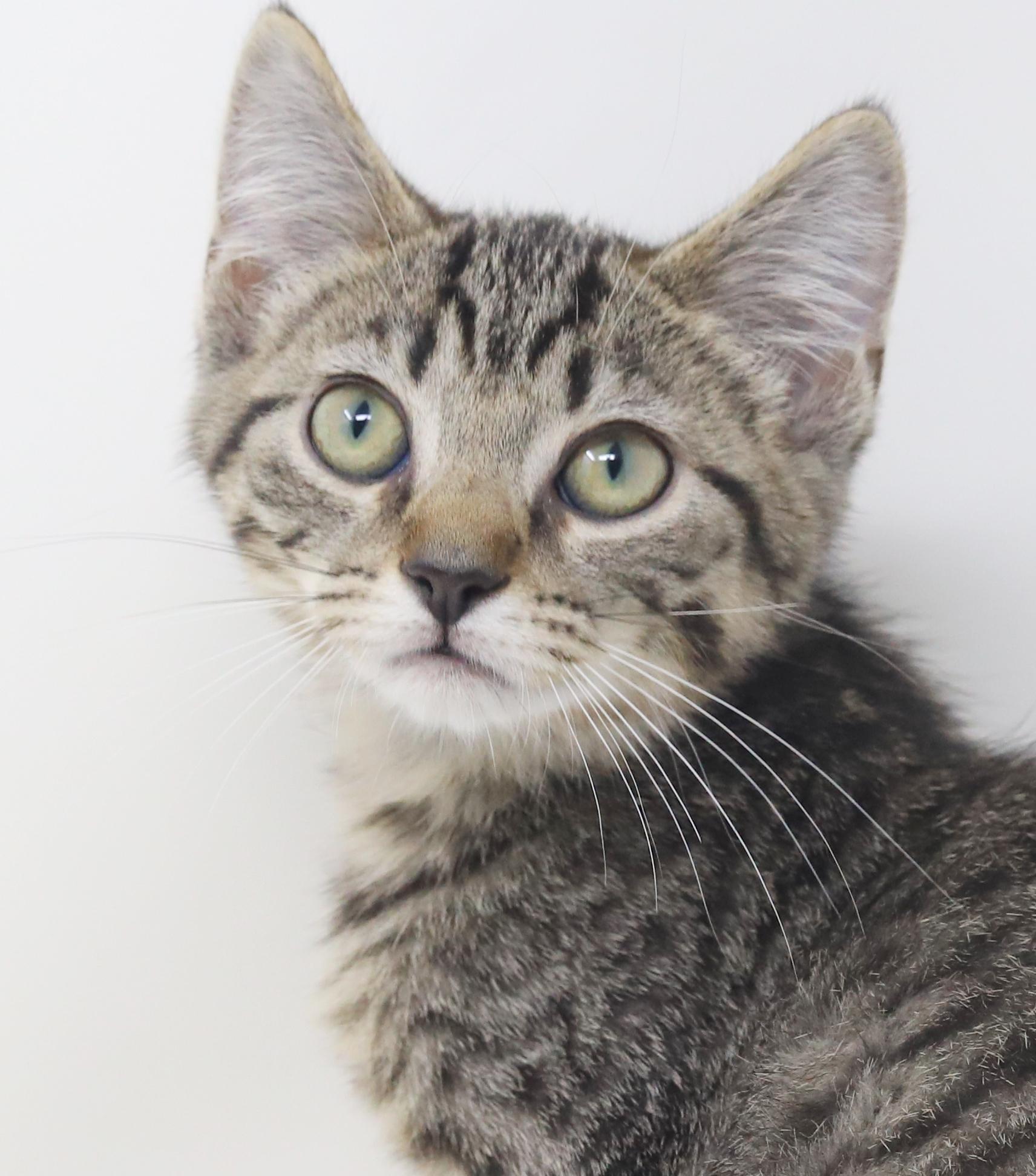 August is a polka dotted bellied snuggle bug!  VIDEO!!  OLD ENOUGH TO GO SOLO