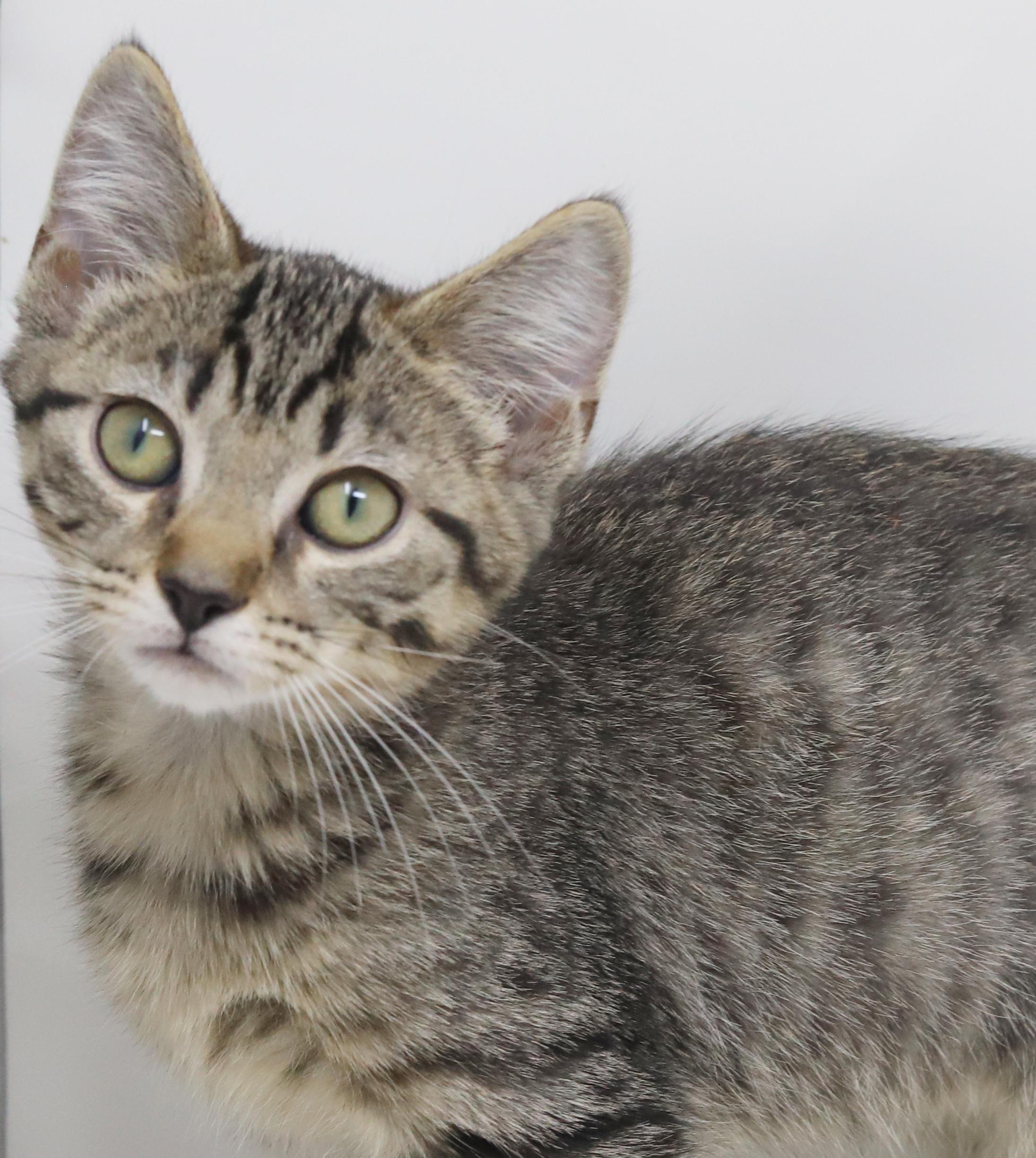 August is a polka dotted bellied snuggle bug!  VIDEO!!  OLD ENOUGH TO GO SOLO