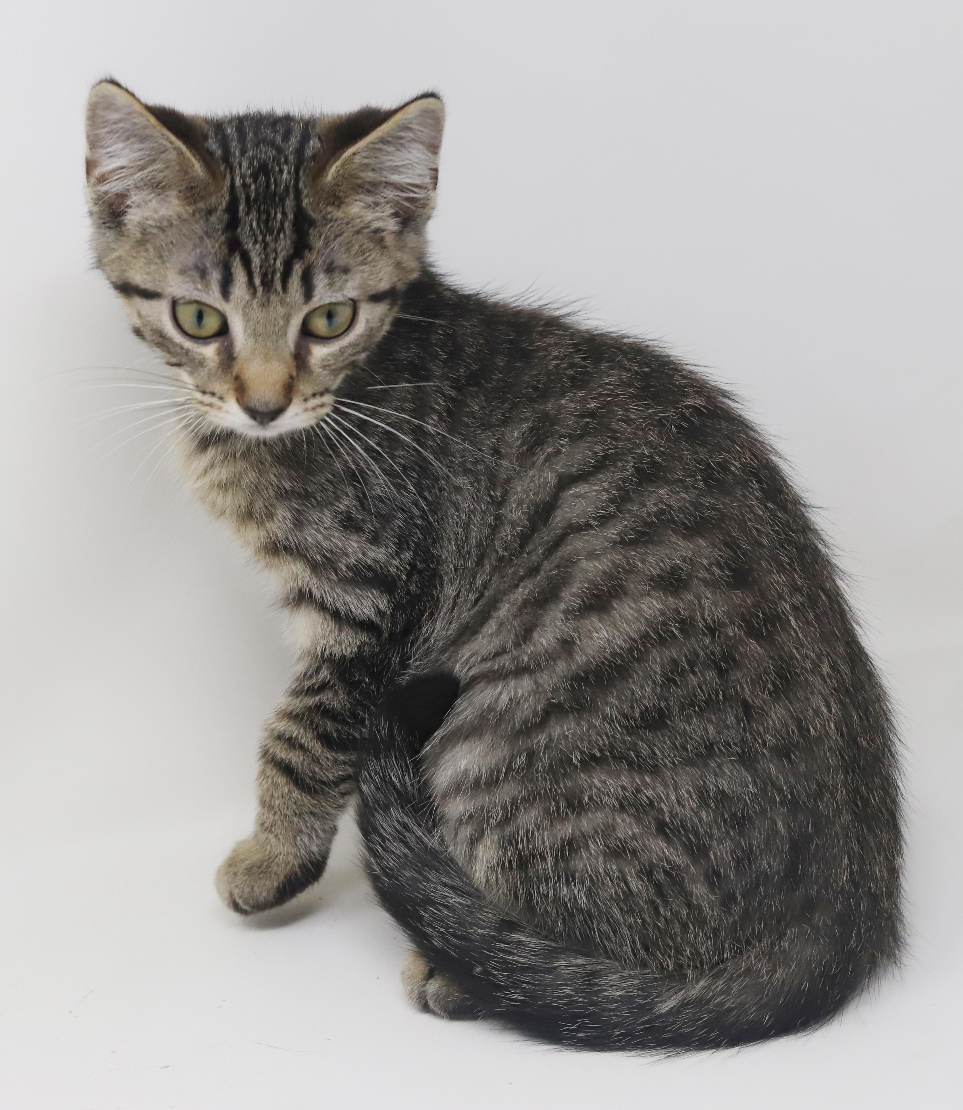August is a polka dotted bellied snuggle bug!  VIDEO!!  OLD ENOUGH TO GO SOLO