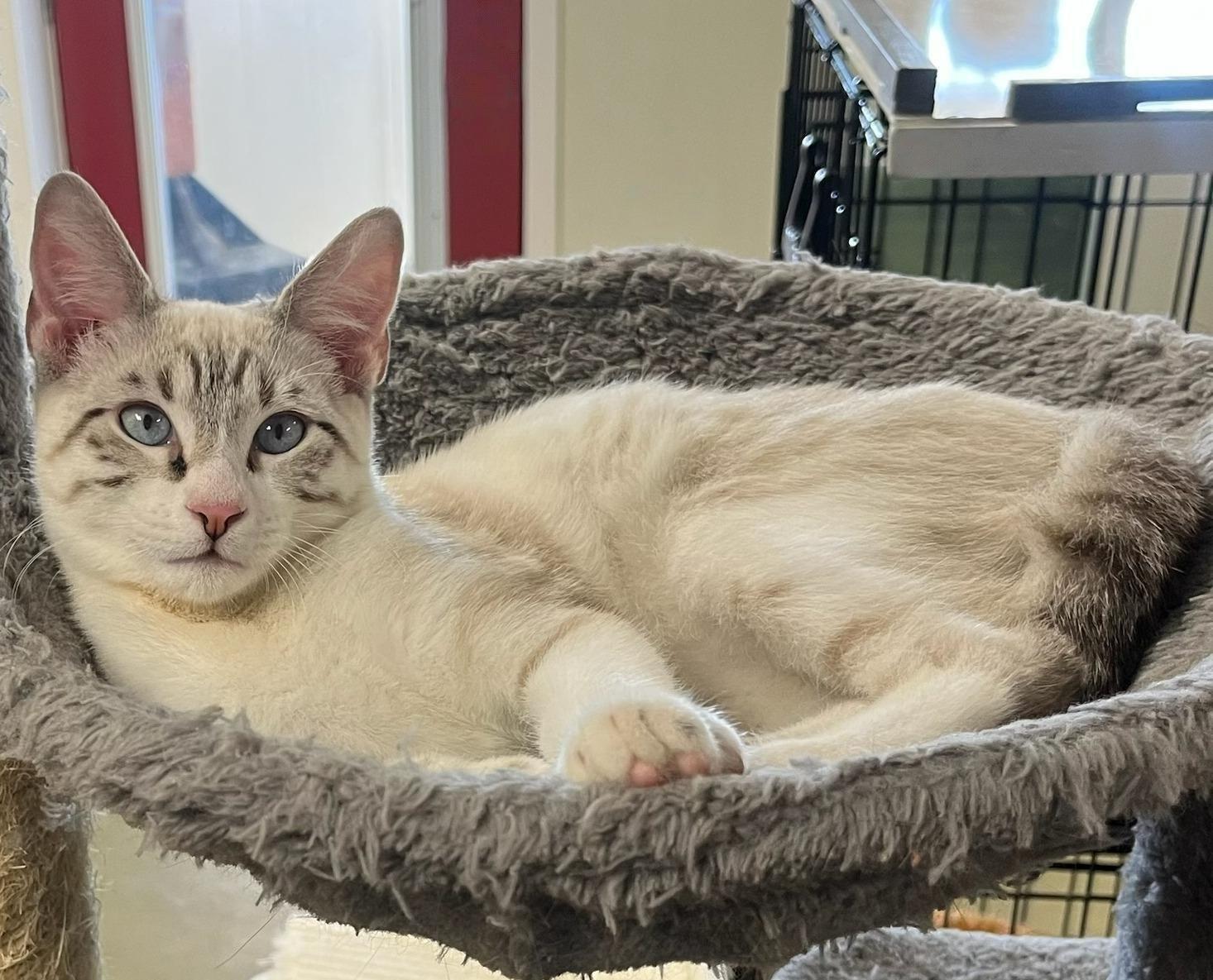 Hazehandsome  Social  thumbnail 4