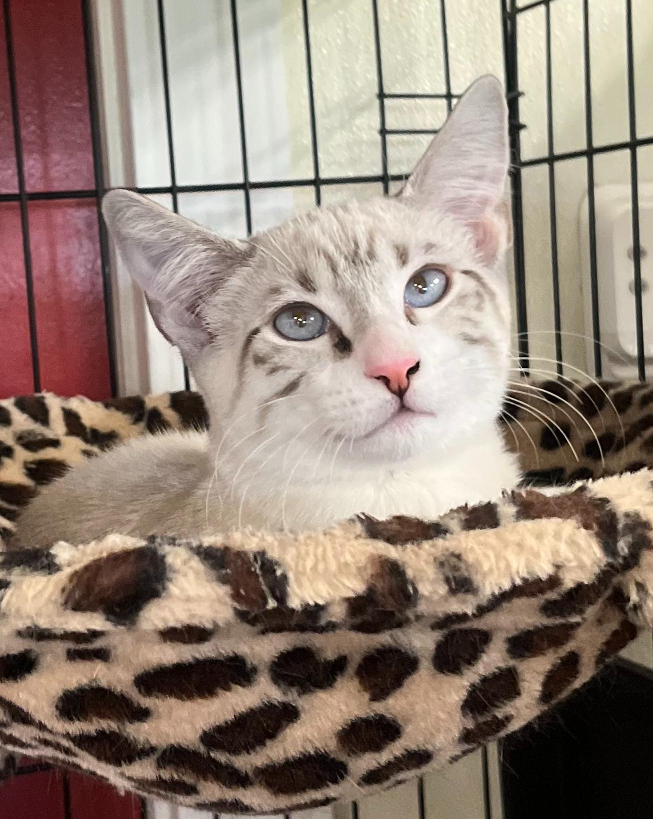 Hazehandsome  Social  thumbnail 6