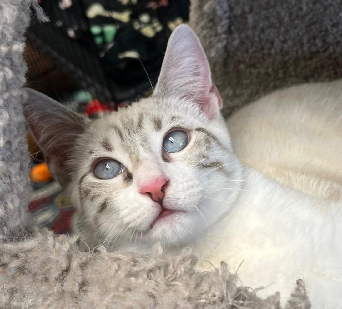 Hazehandsome  Social  thumbnail 5