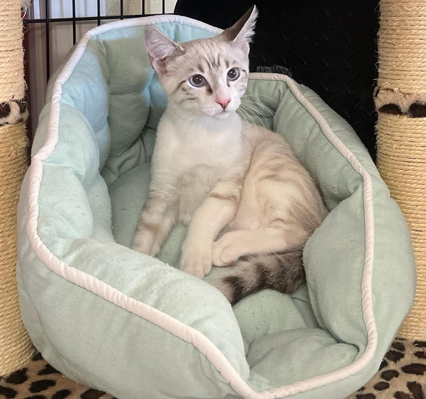 Hazehandsome  Social  thumbnail 2