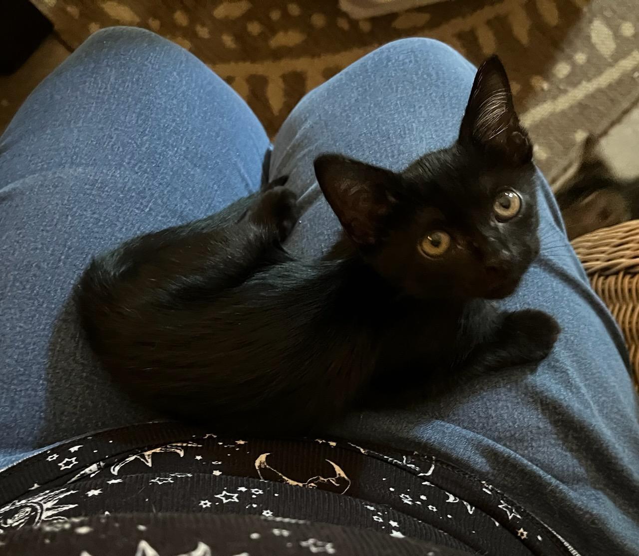 Moonshine–soft  Serene  thumbnail 6