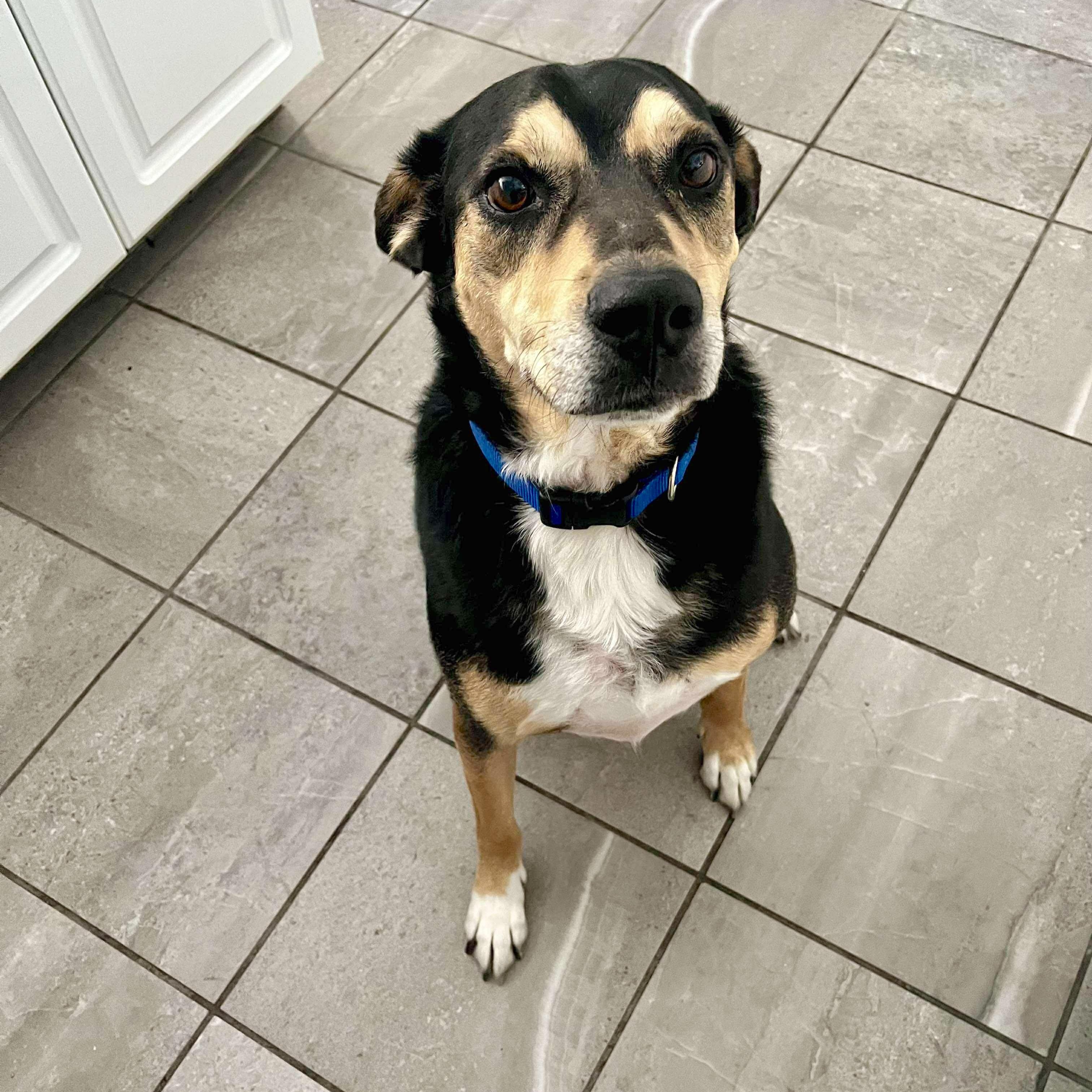 Buster Boo — thumbnail 3