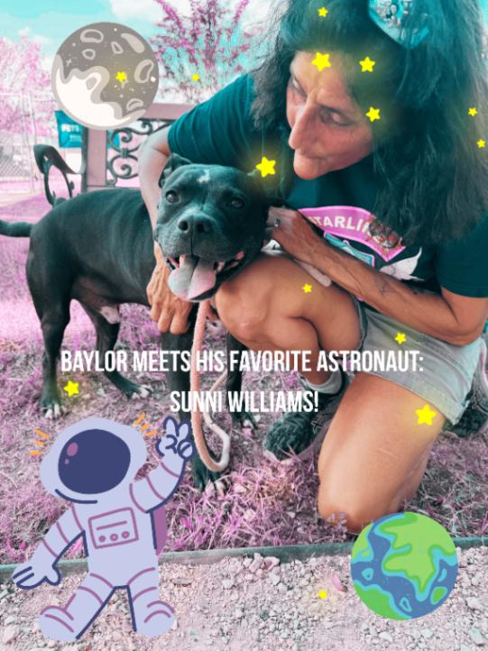 Baylor Banjo Morning Coffee Buddy — thumbnail 3