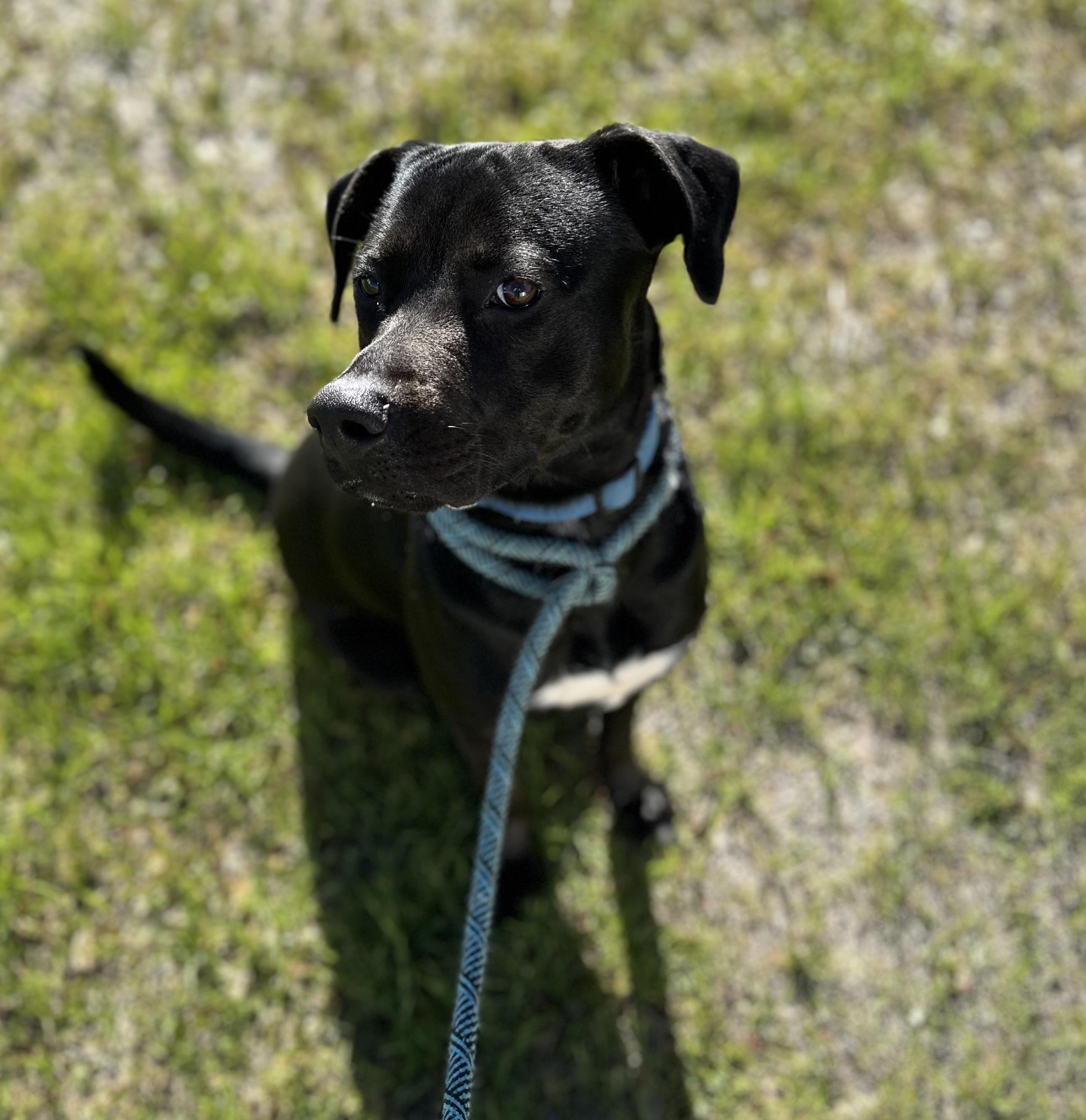 Raisin photo 2