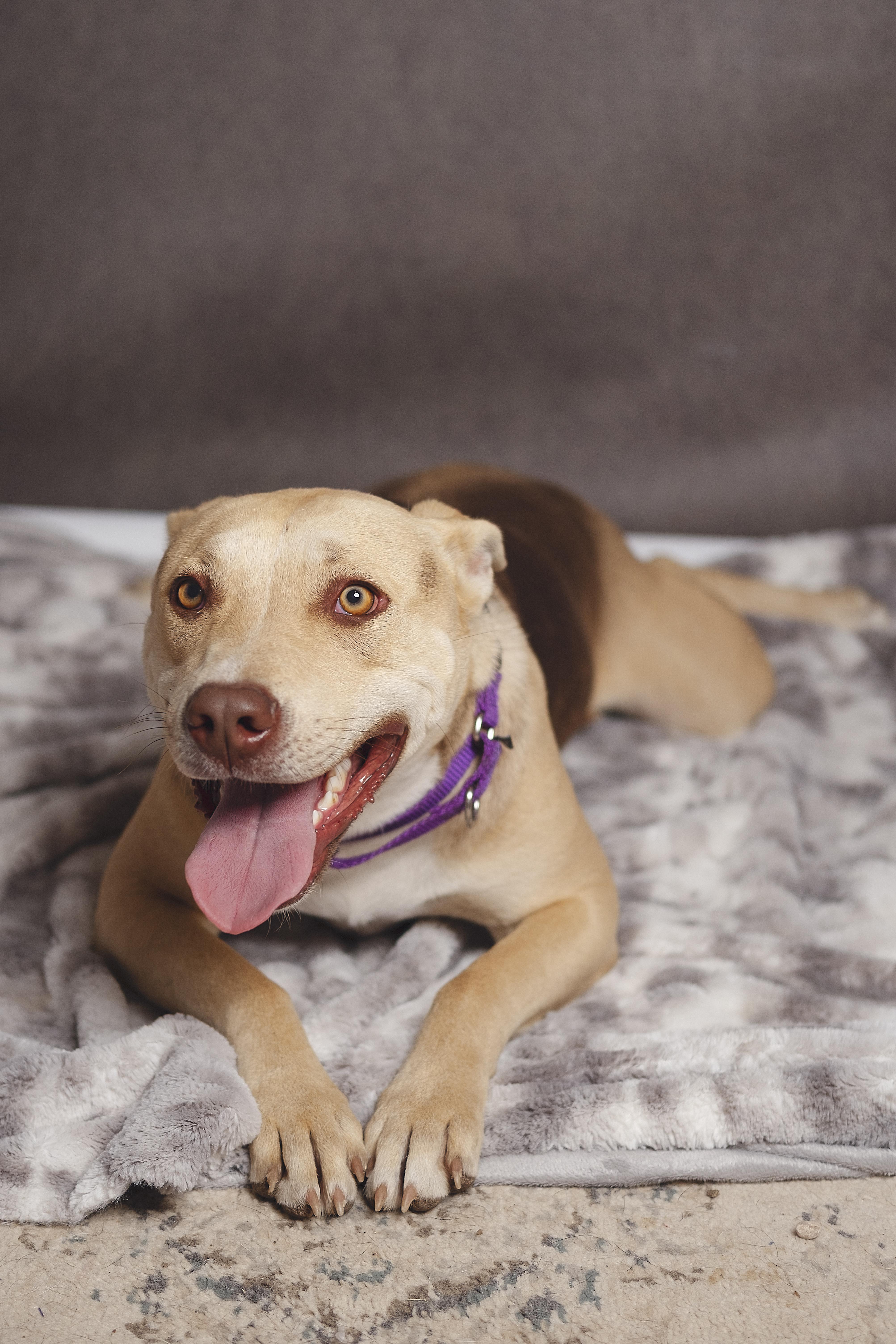 Sofia — thumbnail 3