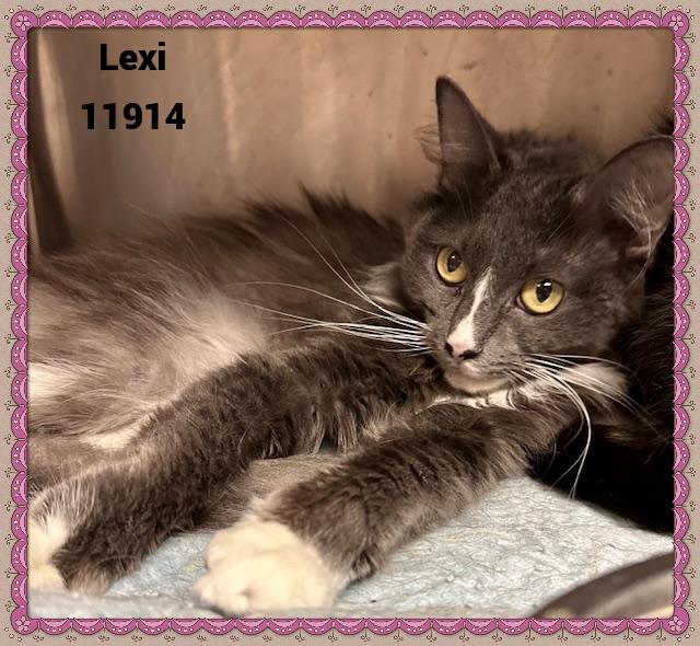 LEXI see also CHYNA