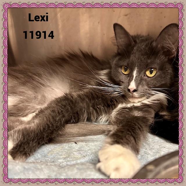 Lexi will melt your heart She was on an adventure with her best gal pal Chyna when spotted and arri
