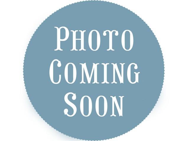 Enlarge SAMANTHA, a Adoptable Domestic Short Hair in Fort Lauderdale, FL image 1/1