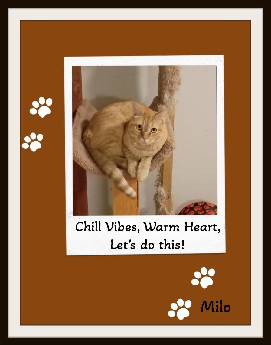 Milo - Can I steal your heart? I will keep it safe forever. Promise!
