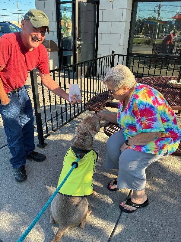 Enlarge Clark, a Adoptable mixed breed in Rochester, NY image 5/5