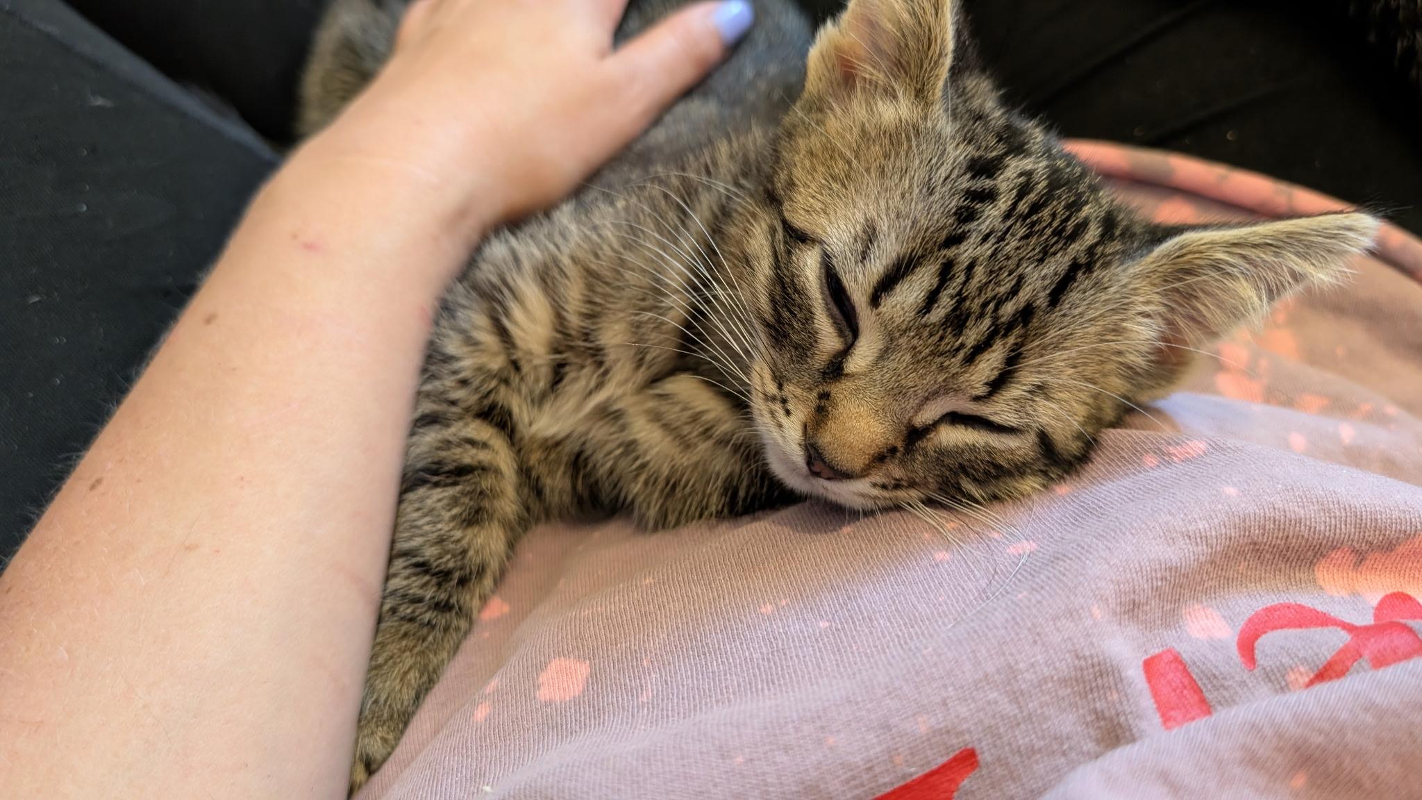 Remy