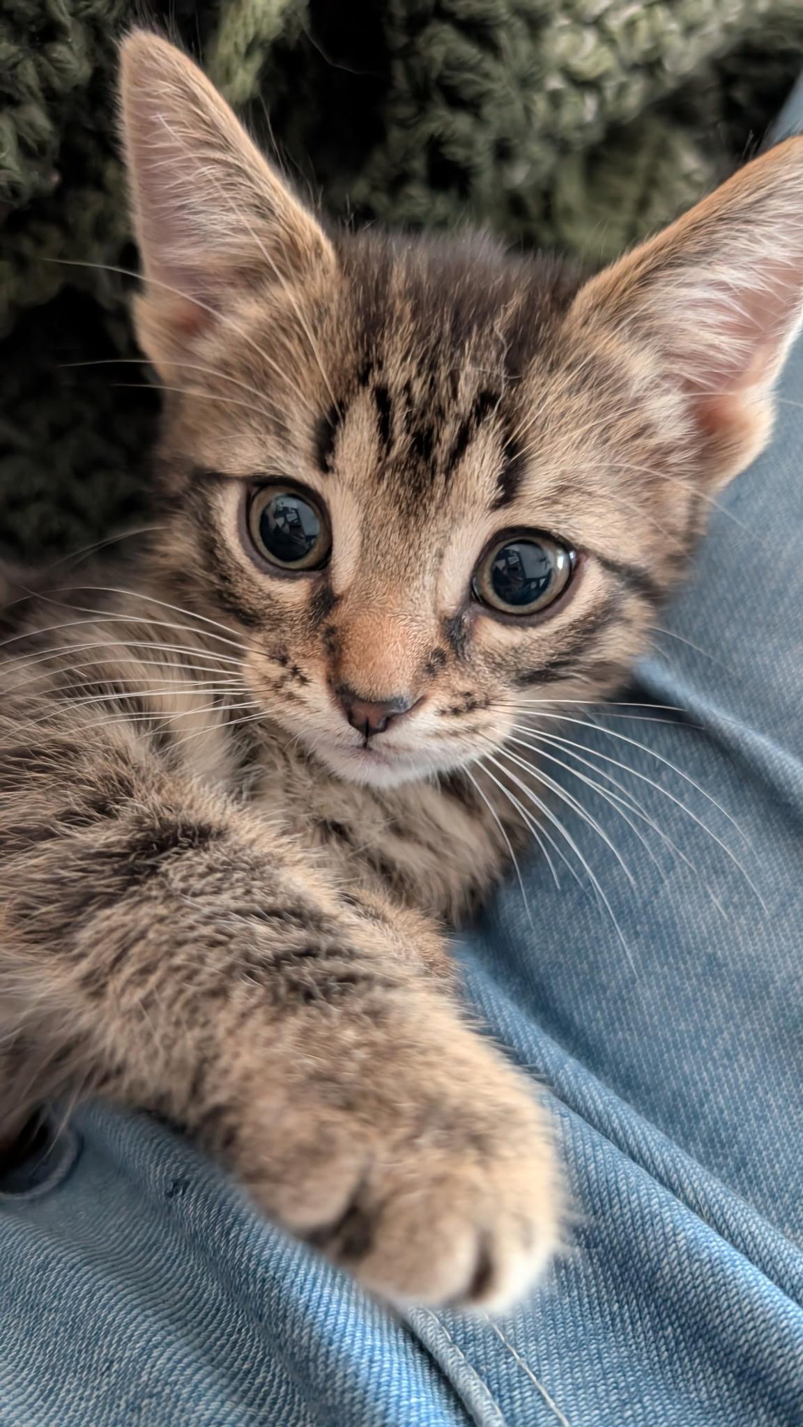Remy