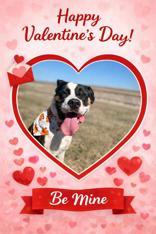 CHELSEA, a ADOPTABLE mixed breed in Boerne, TX image 2/4