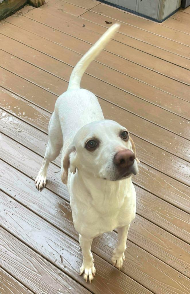 Gully — thumbnail 2