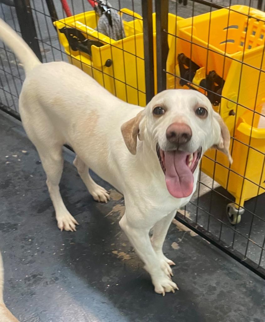 Gully — thumbnail 3