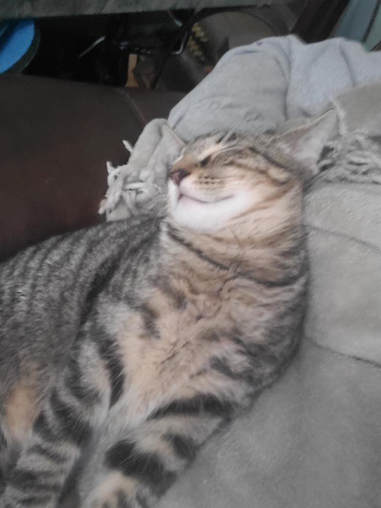 Tigger B — thumbnail 6