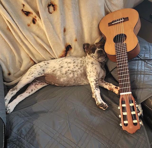 Enlarge Emillia, a ADOPTABLE mixed breed in Cumming, GA image 5/6