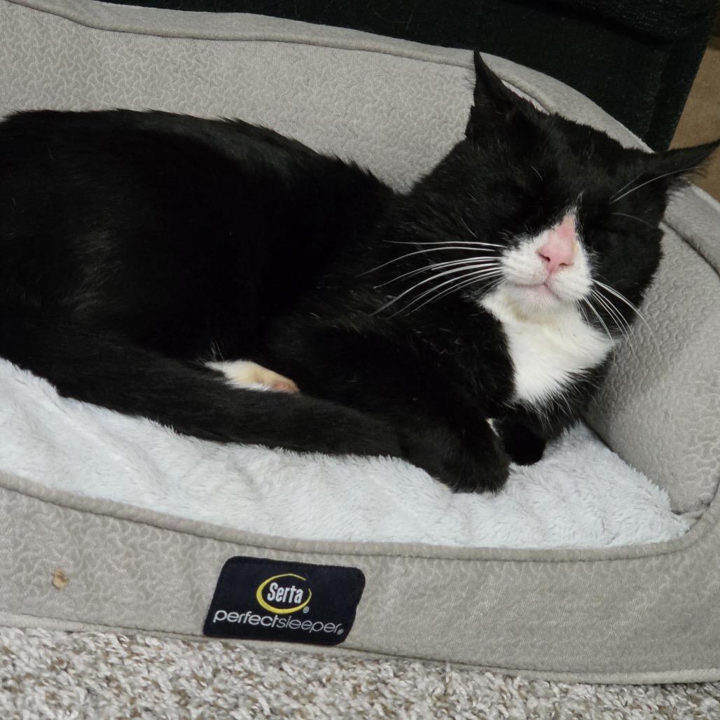 FOUND -Knightley — thumbnail 2